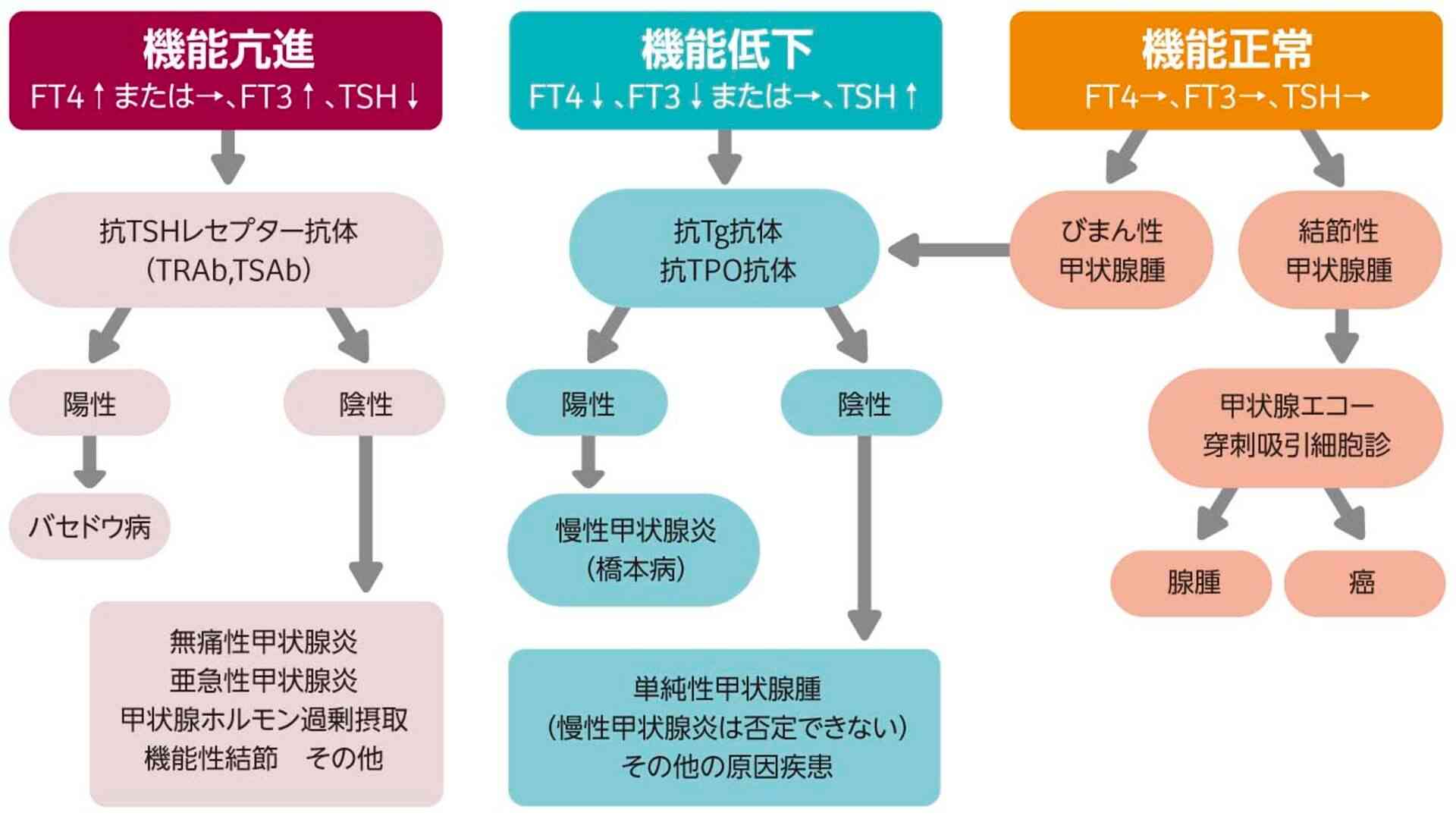  10. 乾燥した肌と弱い髪と爪
