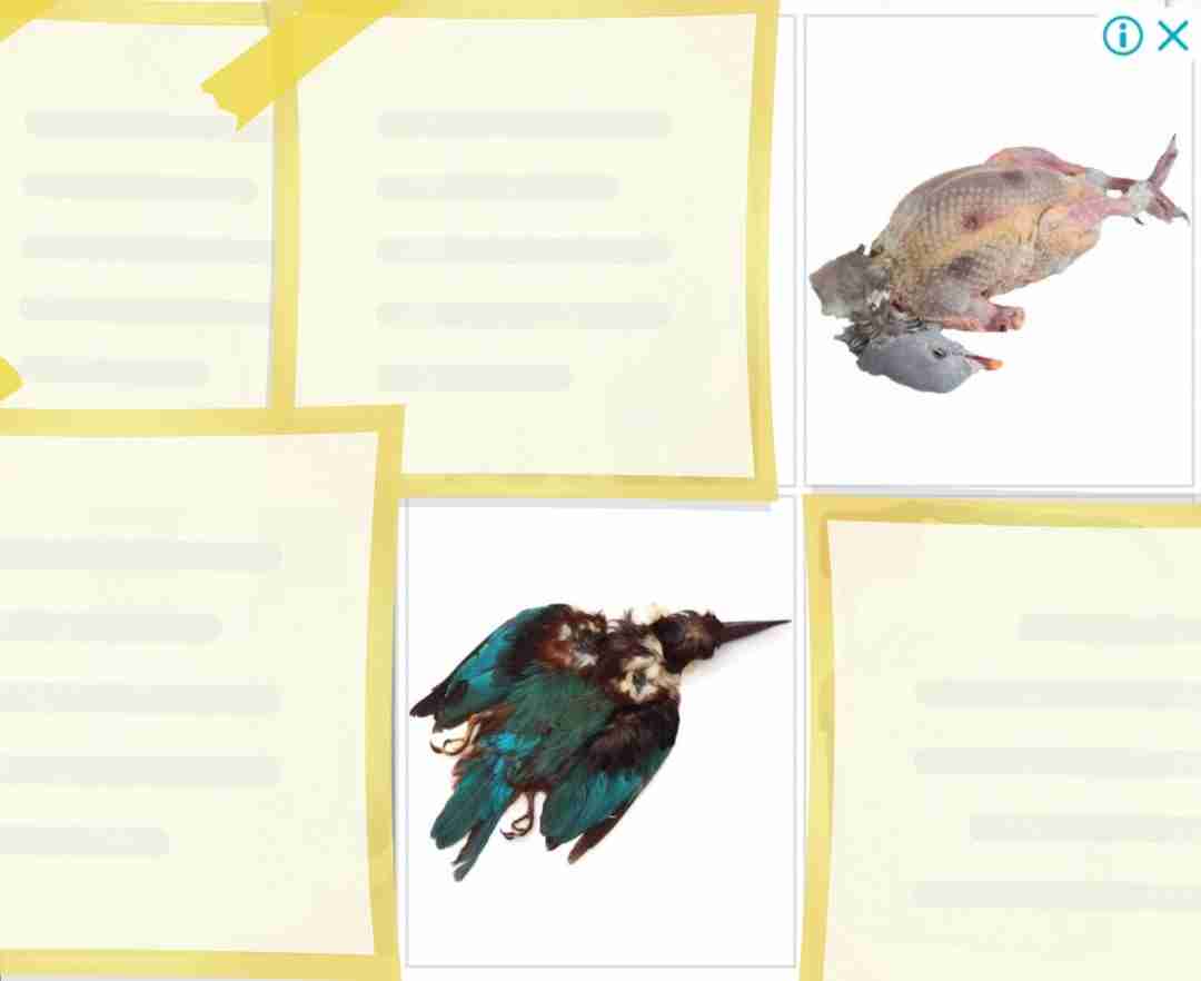 イルミナティ・陰謀論を語りたいpart18