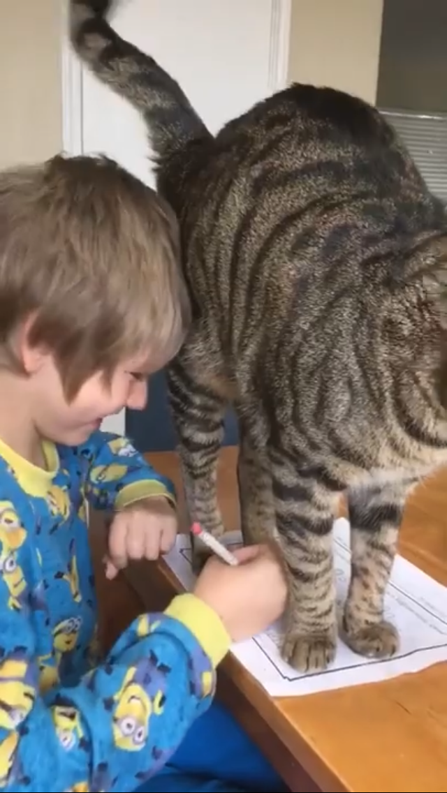 それって嘘?本当? 宿題をしなかった生徒たちのおもしろ言い訳 9連発