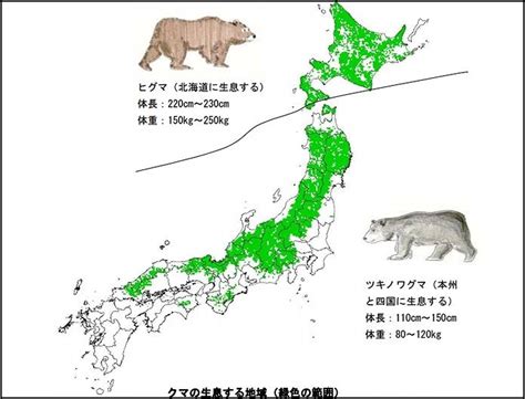 「三毛別羆事件」について語りましょうPart3