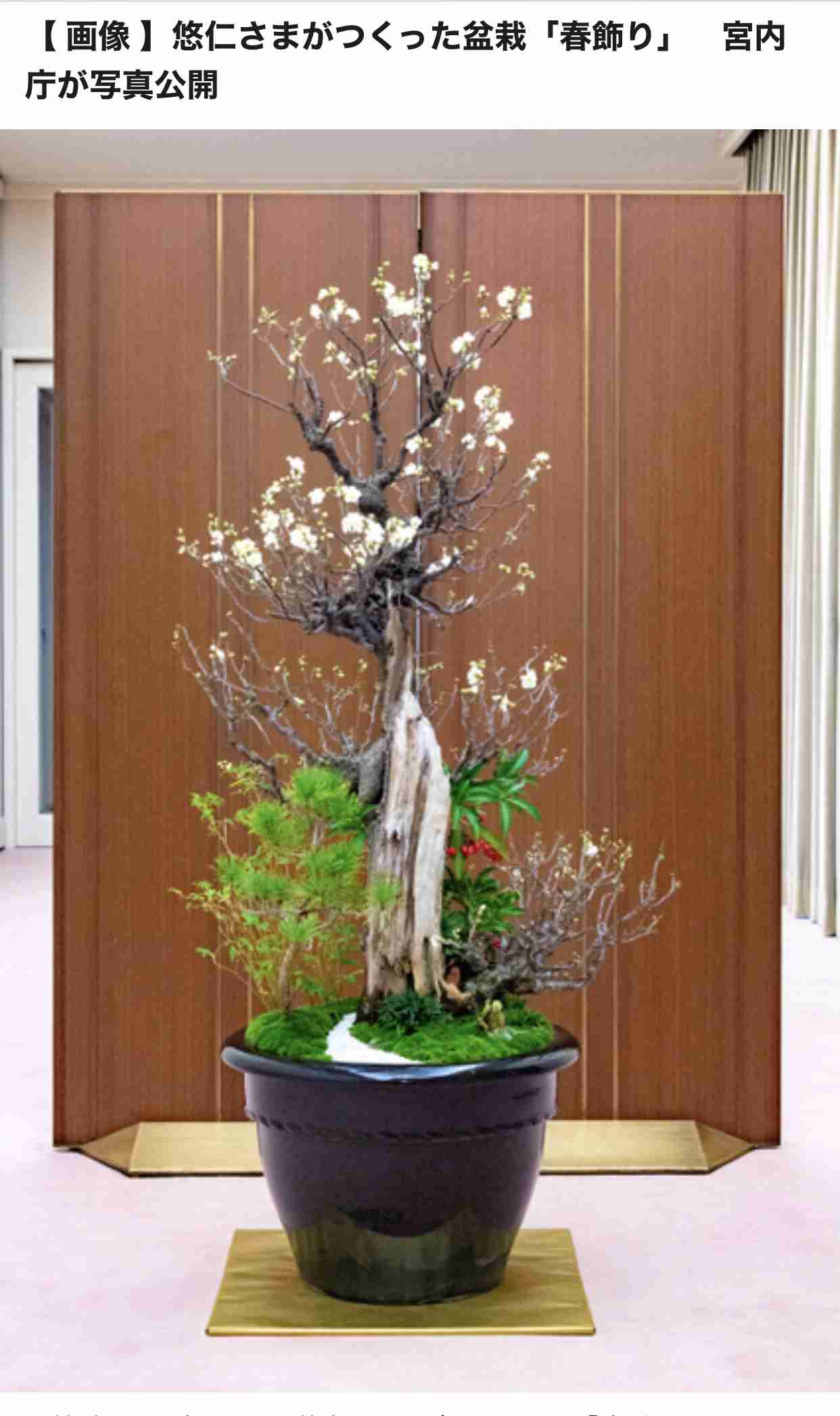 愛子さま 「皇室の闇」としてネットにはびこる“影武者説”を宮内庁が全否定