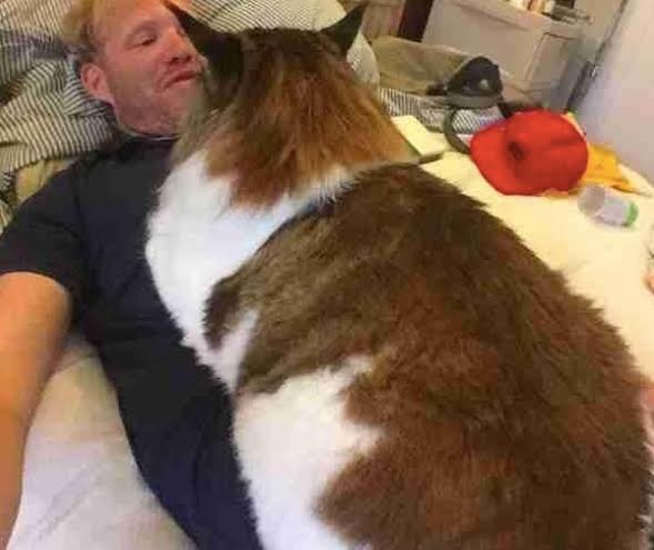 「写真加工？」と言われるほど巨大な猫　飼い主は「抱きしめがいがあるの！」（英）