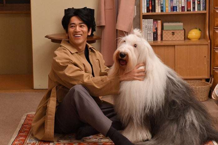 付き合いたいドラマの登場人物