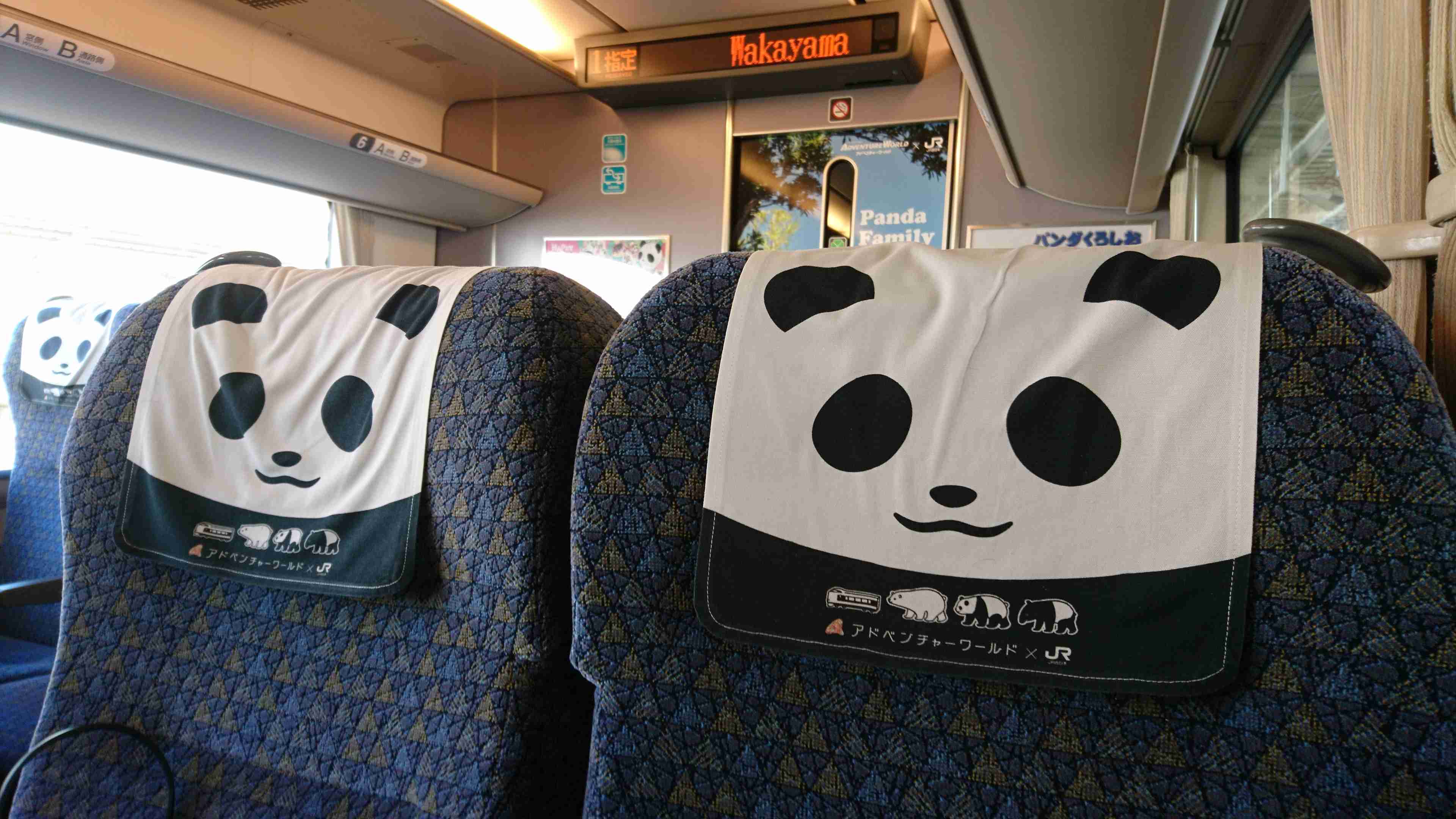 赤ちゃんパンダの”名前”を募集！　「幸せに育つよう素敵な名前を…」