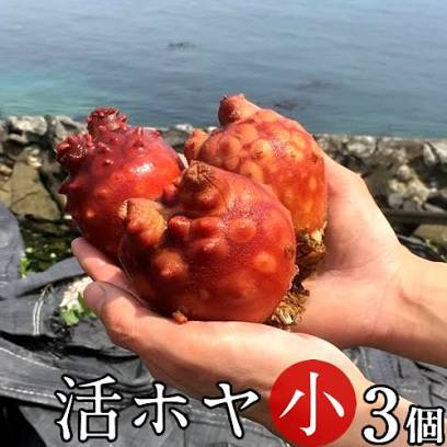 各都道府県民がちょっとしたパーティーに持っていく差し入れ