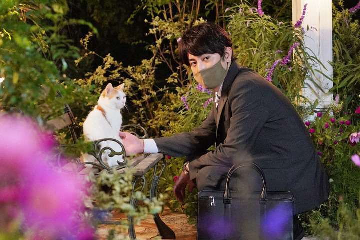 ラブストーリーにおける本命と当て馬