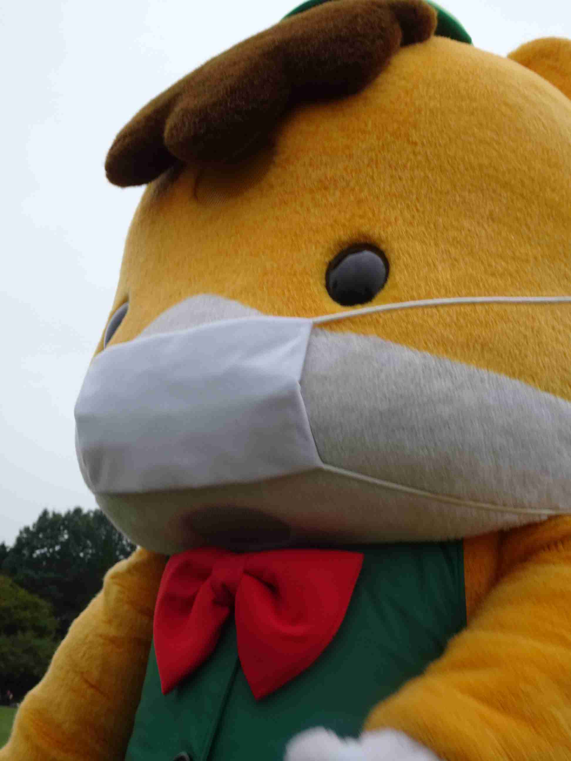 ぐんまちゃんが好き