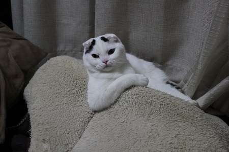 仲良くなりすぎると距離を置きたくなる