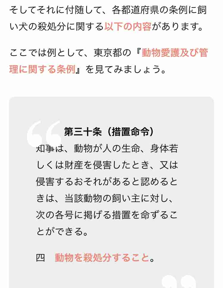 「許せない」愛犬が散歩中に蹴飛ばされ即死…飼い主が語った当時の状況と立ち去った47歳の男