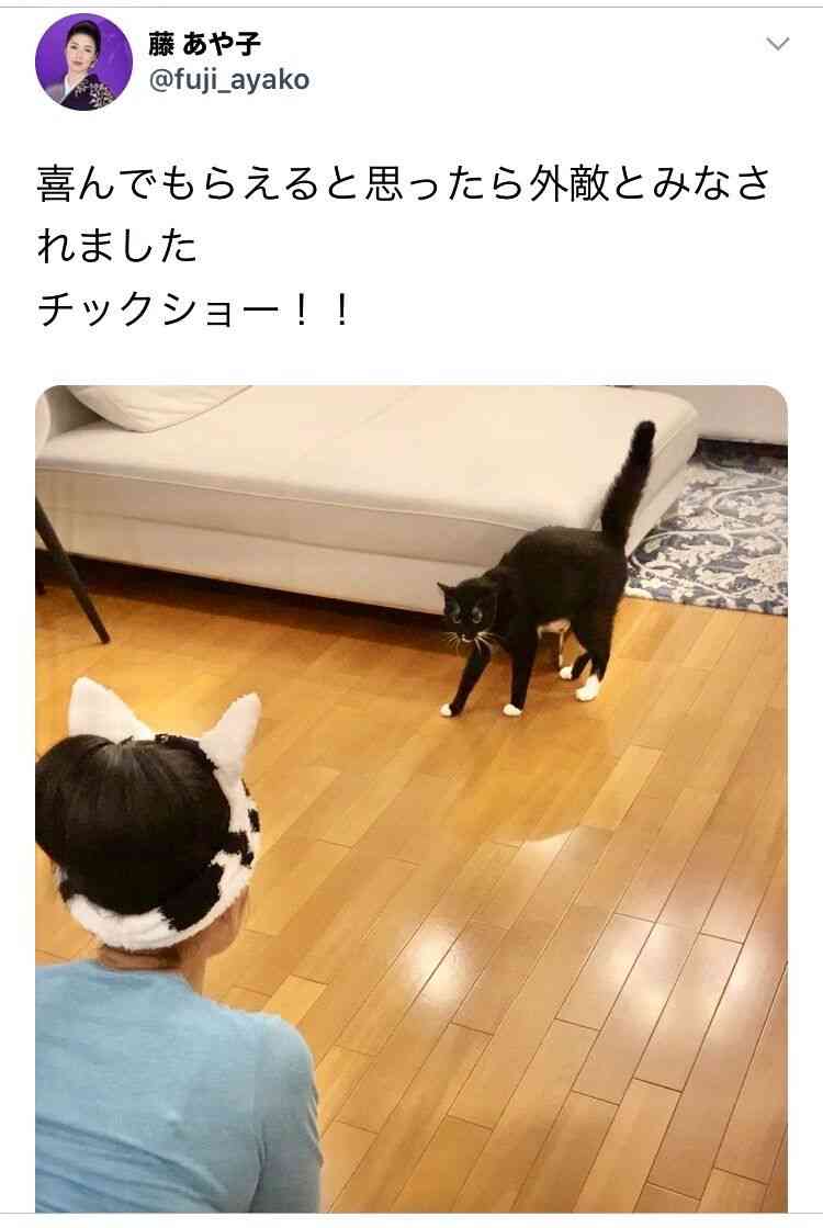 藤あや子、ポニーテールのワンショルダードレス姿に「妖艶」「美麗でエレガント」