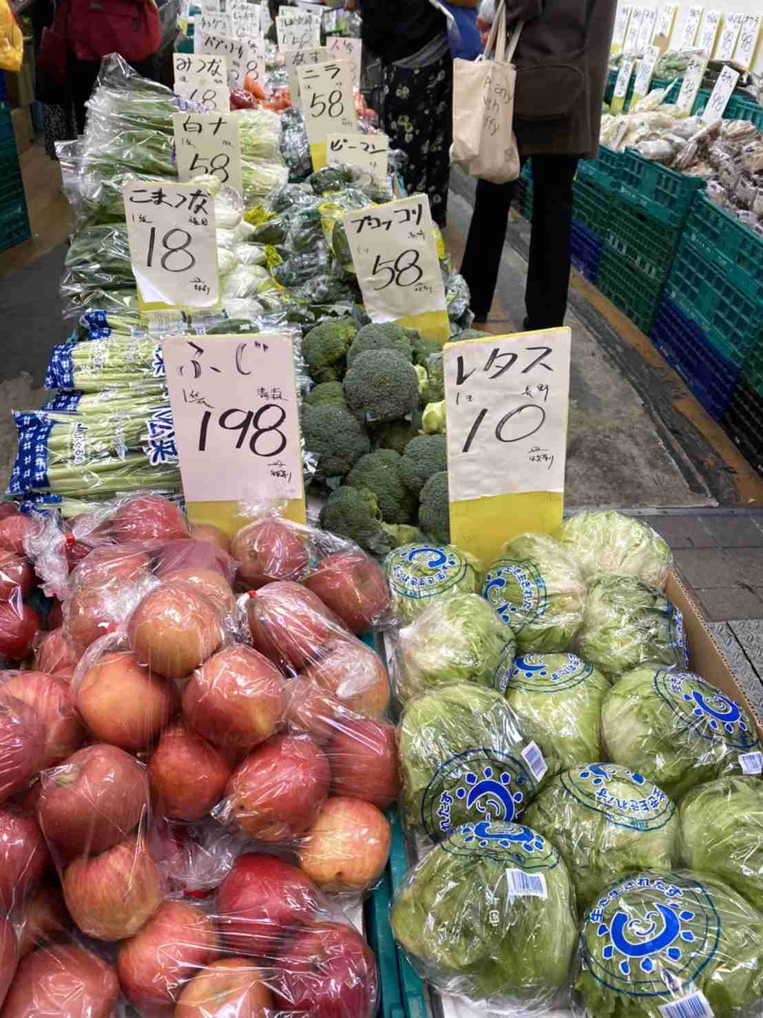 野菜安すぎ、「利益出ない」と産地悲鳴…生育順調・コロナで外食低迷