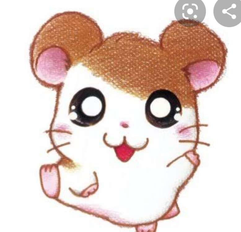 皆さんのハムスター 見たいです(^^)part2
