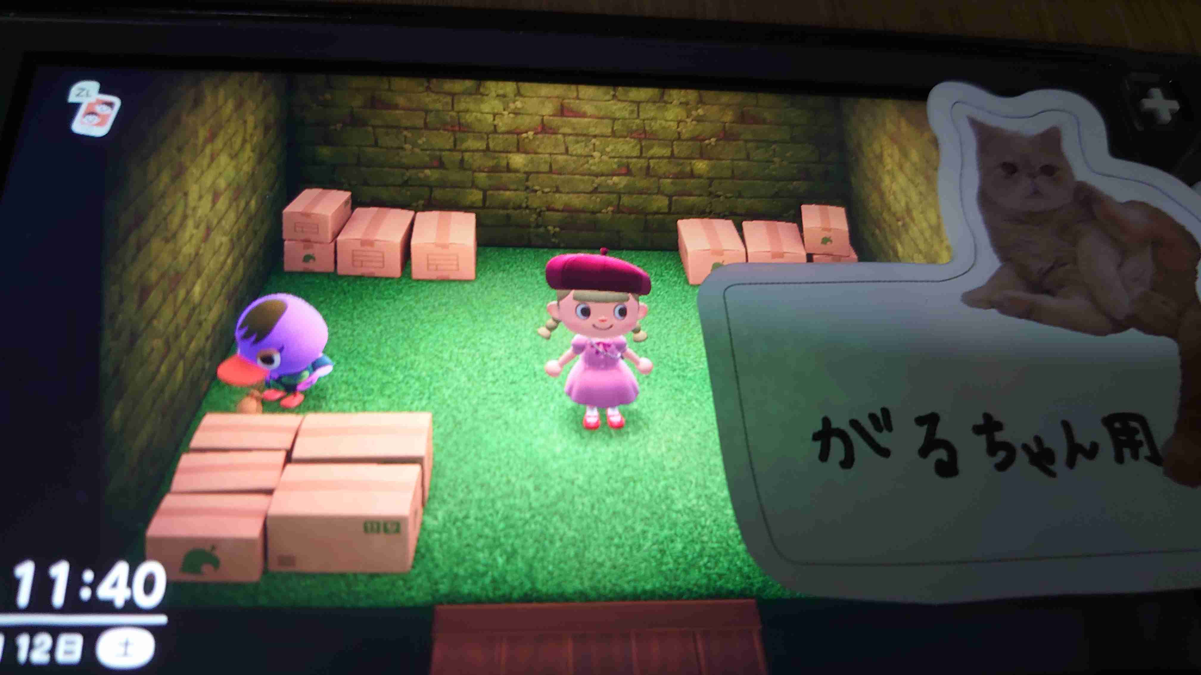 米TIME紙が2020年最高の発明100選に『あつまれ どうぶつの森』を選出。コロナ禍の中で人々の心を落ち着かせる助けとなった