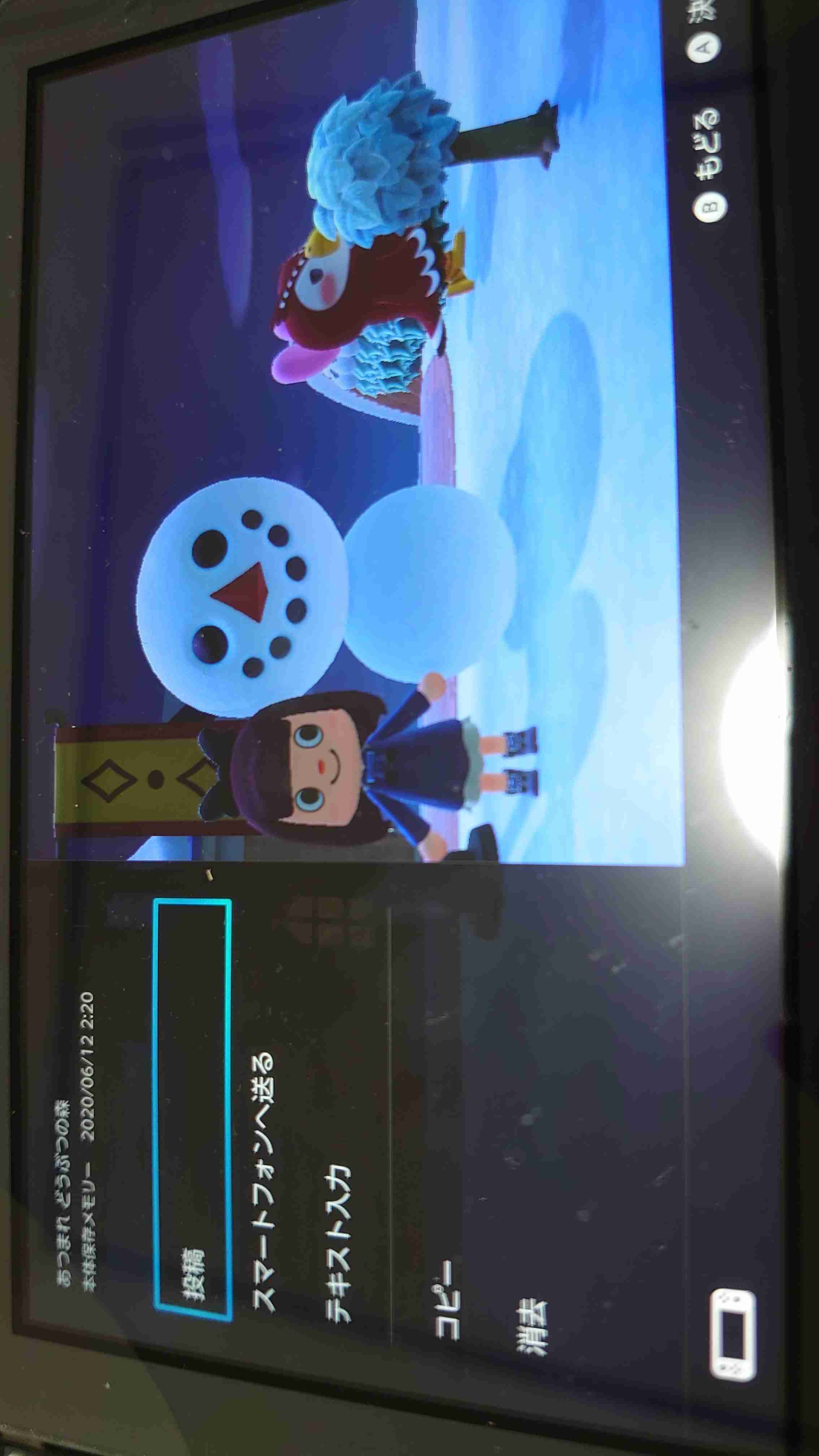 あつまれどうぶつの森　愚痴トピpart9