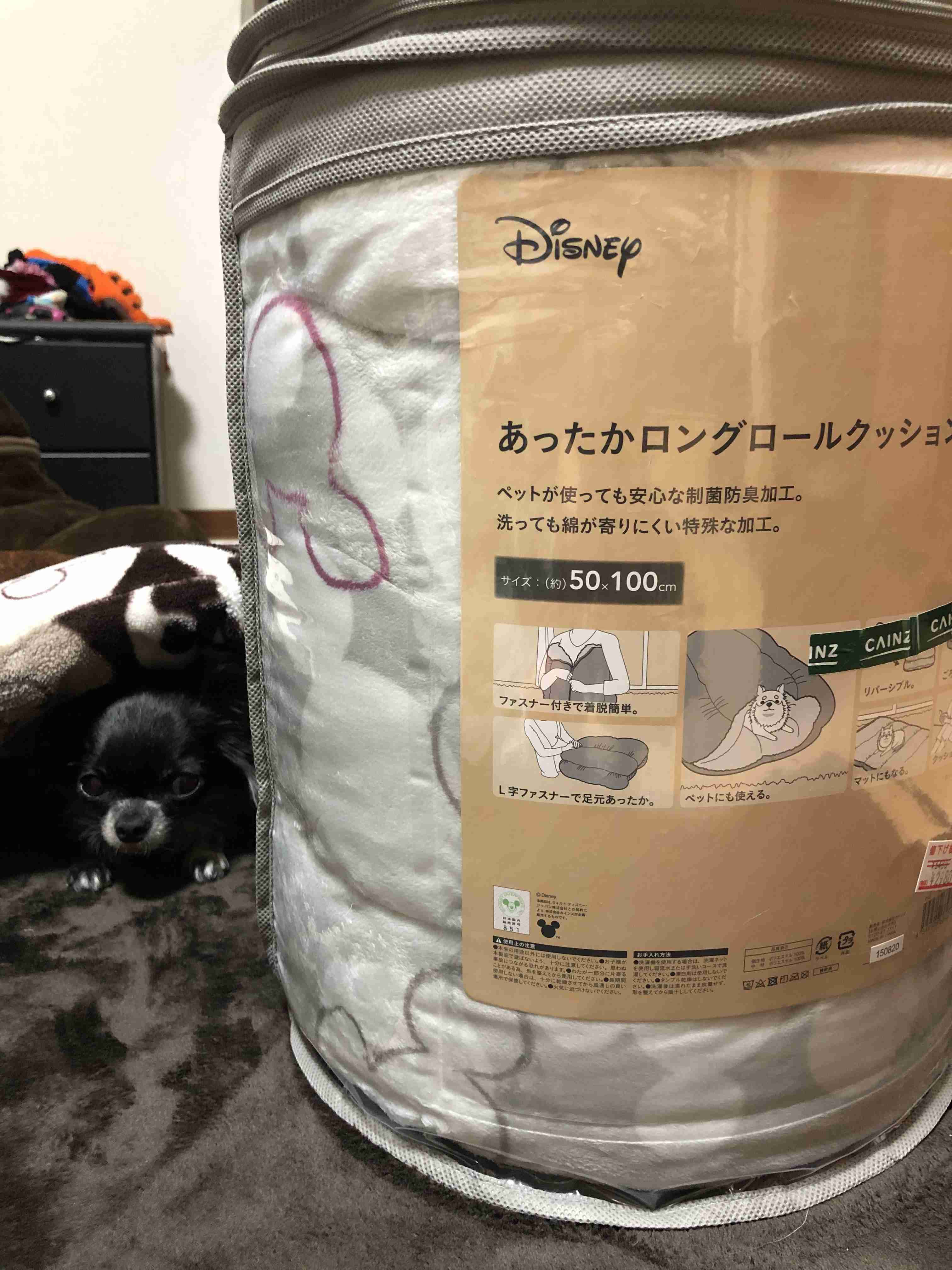 最近カインズで買ったもの、教えてください。