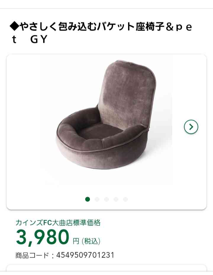 最近カインズで買ったもの、教えてください。
