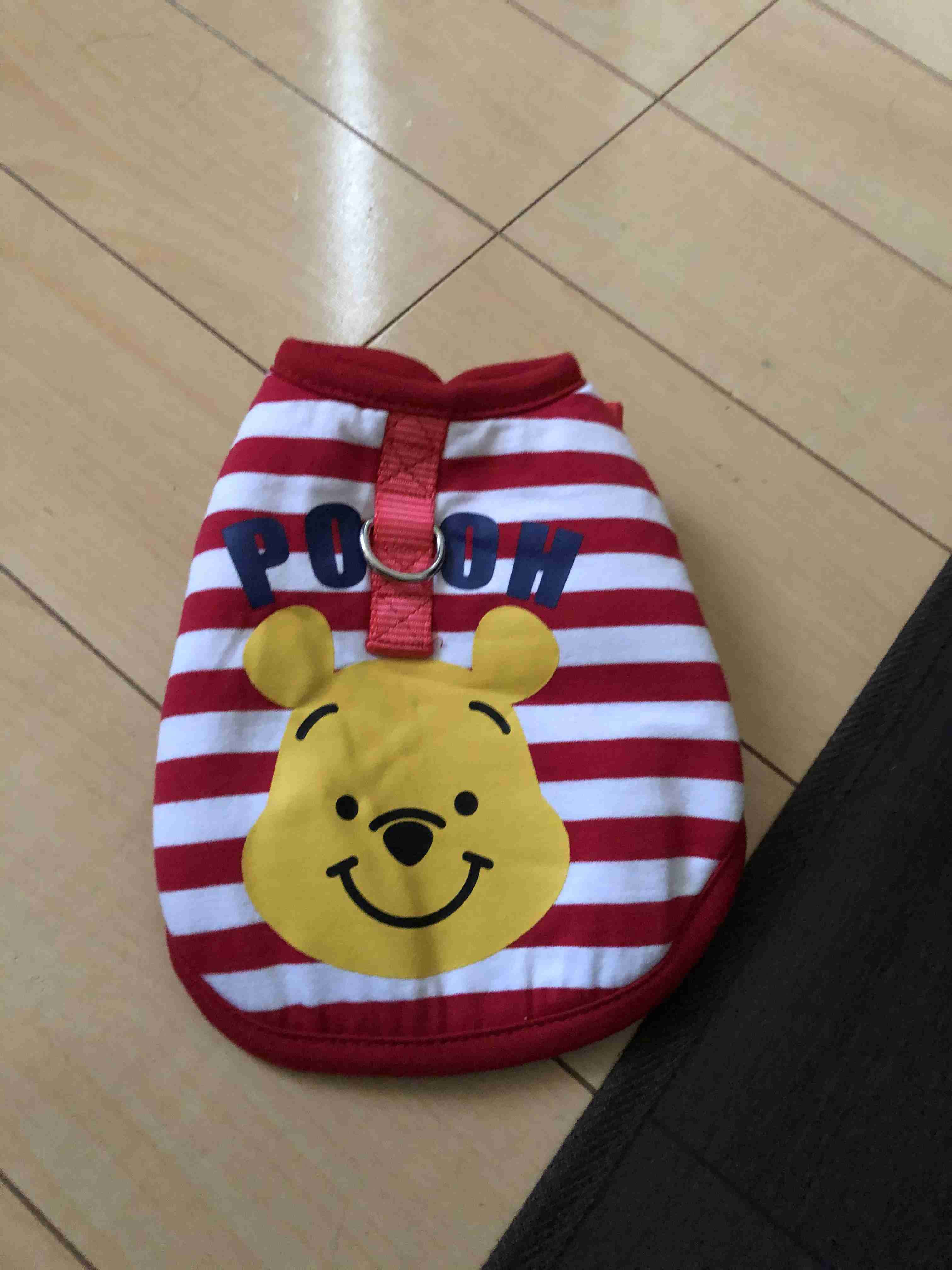 最近カインズで買ったもの、教えてください。