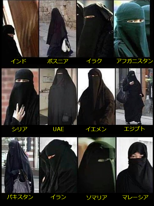 首都圏4知事がメッセージ「初詣での時期ずらして」「家の中でもマスクを」