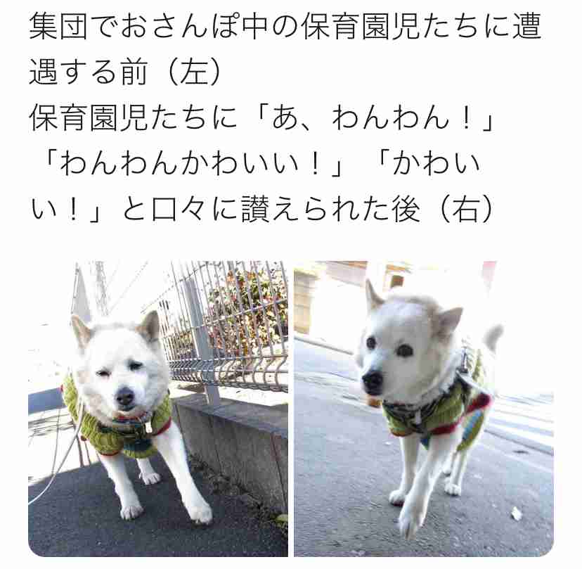 思い込みで綺麗になった人！part6