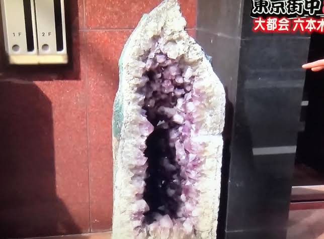 テレビ千鳥好きな人