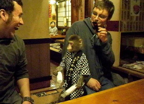 店主のペットとして店内に動物がいる飲食店