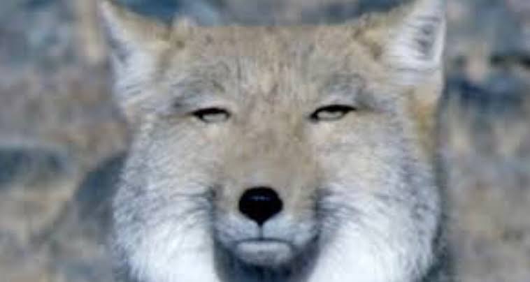 目は口ほどに物を言う これを感じる時ある ガールズちゃんねる Girls Channel