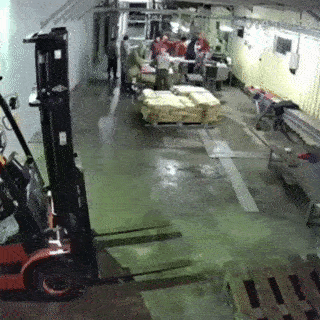 北海道のゲレンデでヒグマ２頭がコース横断、スキー客80人避難