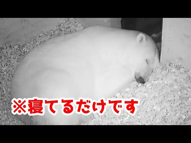 毎日寝不足の人、太っていますか？