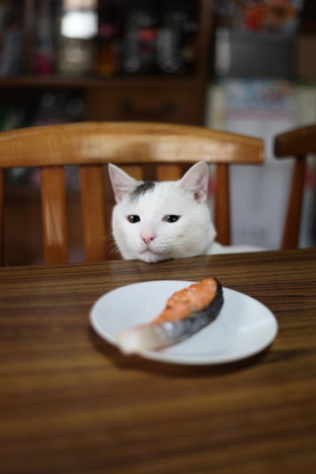 朝に食べたことあるものにプラスpart2