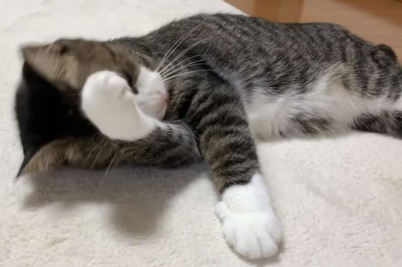 失敗したことあるある