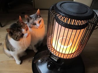 オイルヒーター使ってる方いますか？