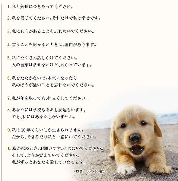 亡くなったペットの思い出を語りませんか part2