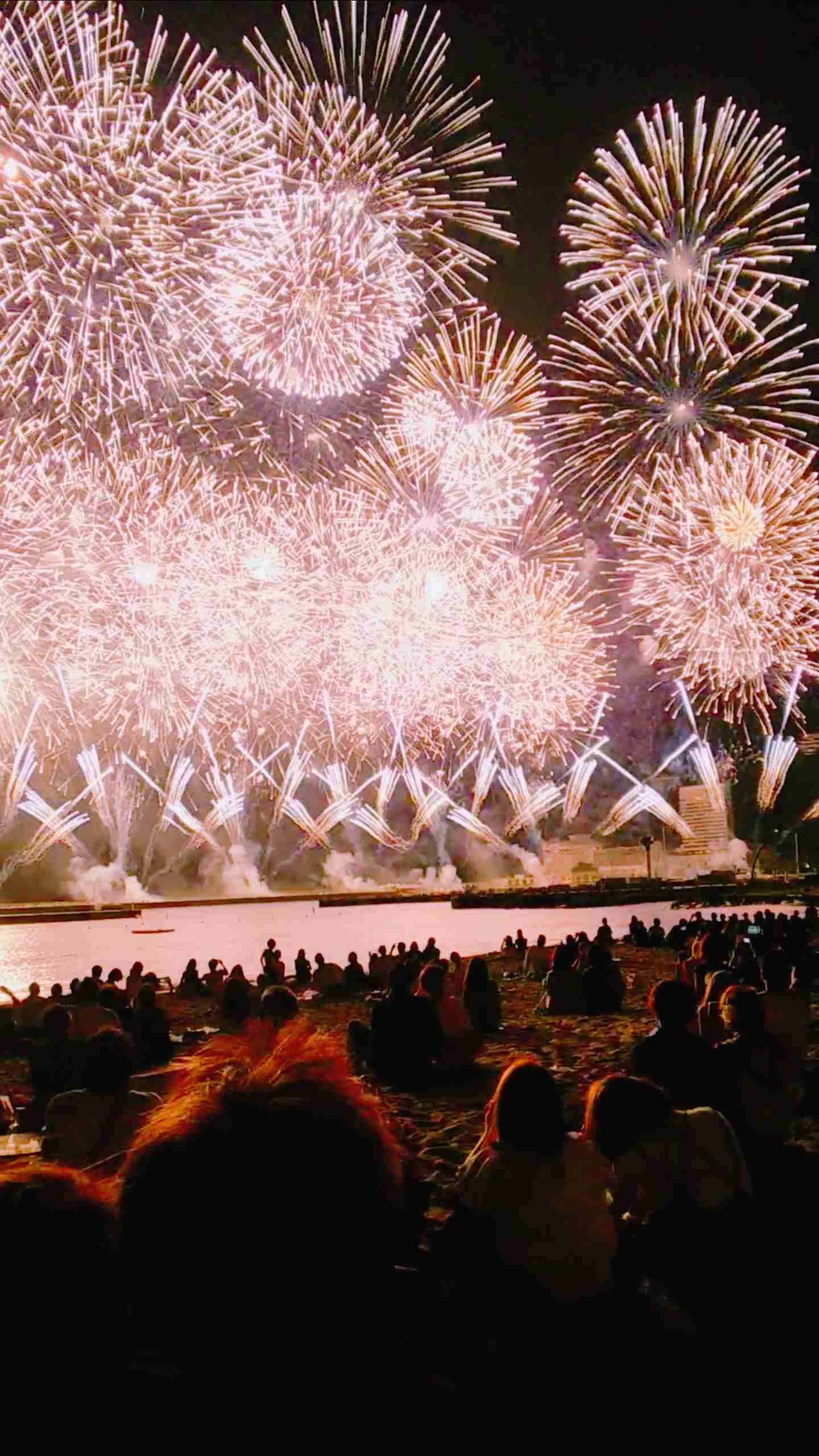 今年できなかったイベントや旅行等を以前撮った写真を貼って浄化するトピ