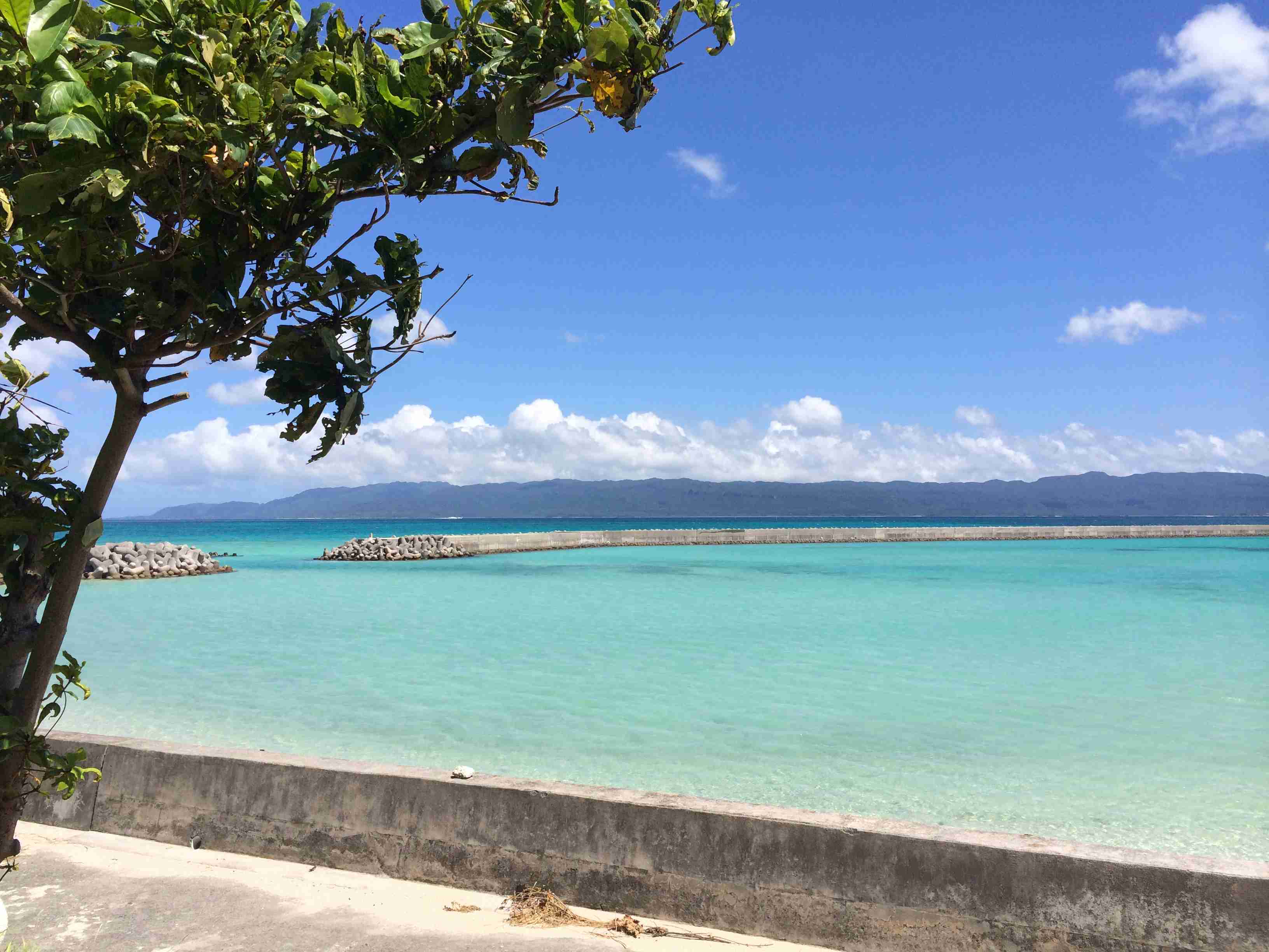 今年できなかったイベントや旅行等を以前撮った写真を貼って浄化するトピ