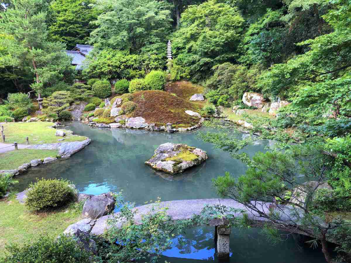 今年できなかったイベントや旅行等を以前撮った写真を貼って浄化するトピ