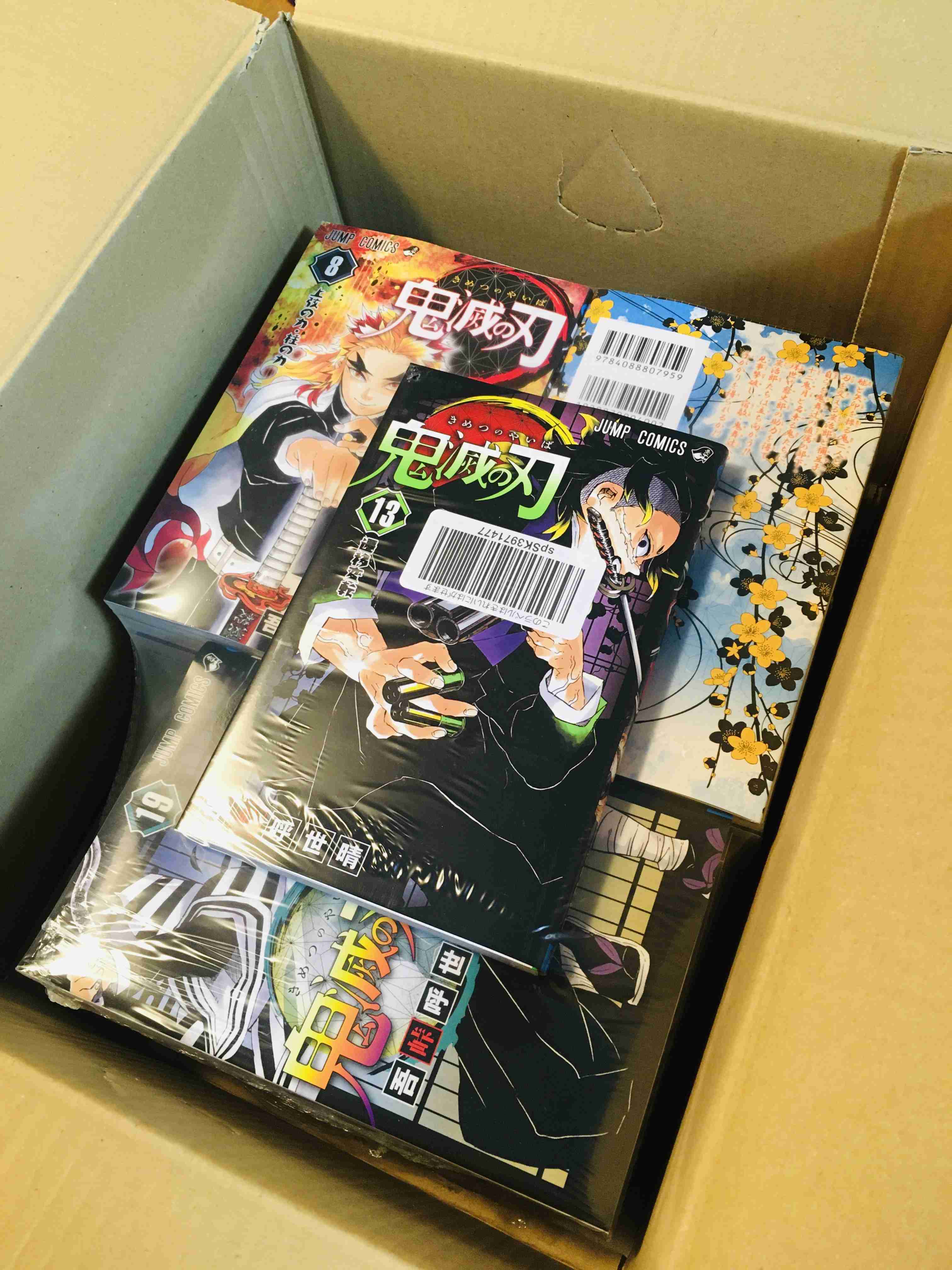 歴代興収新記録「鬼滅の刃」新作アニメ計画が進行中