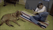 ヨガが苦手な人