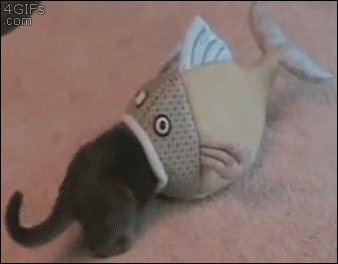 疲れちゃった動物たち
