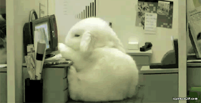 疲れちゃった動物たち