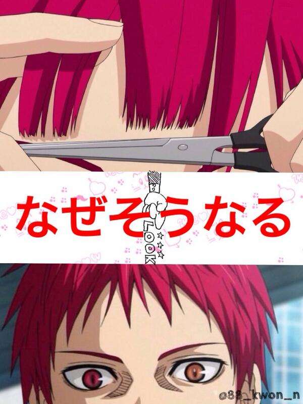 オッドアイの画像が見たい