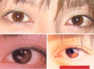 オッドアイの画像が見たい