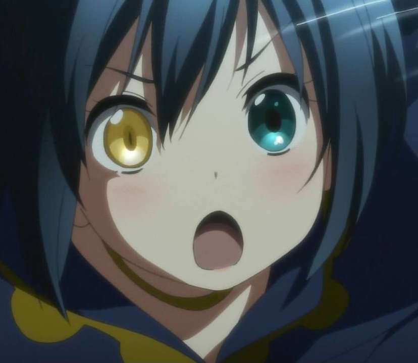 オッドアイの画像が見たい