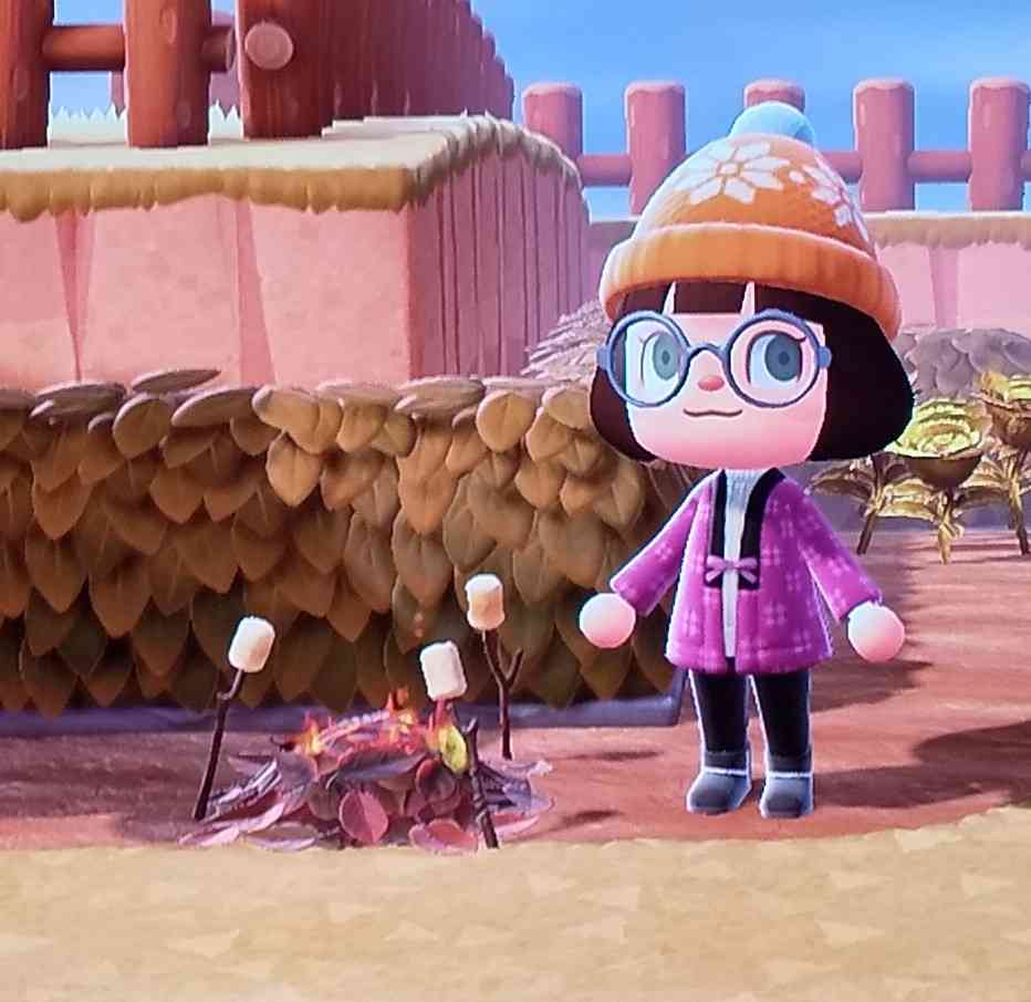 【あつ森】あつまれどうぶつの森 写真トピ part3