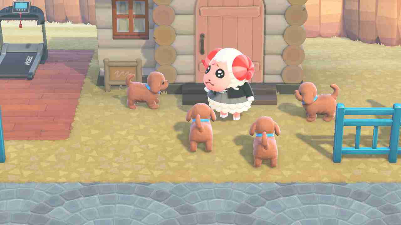 【あつ森】あつまれどうぶつの森 写真トピ part3