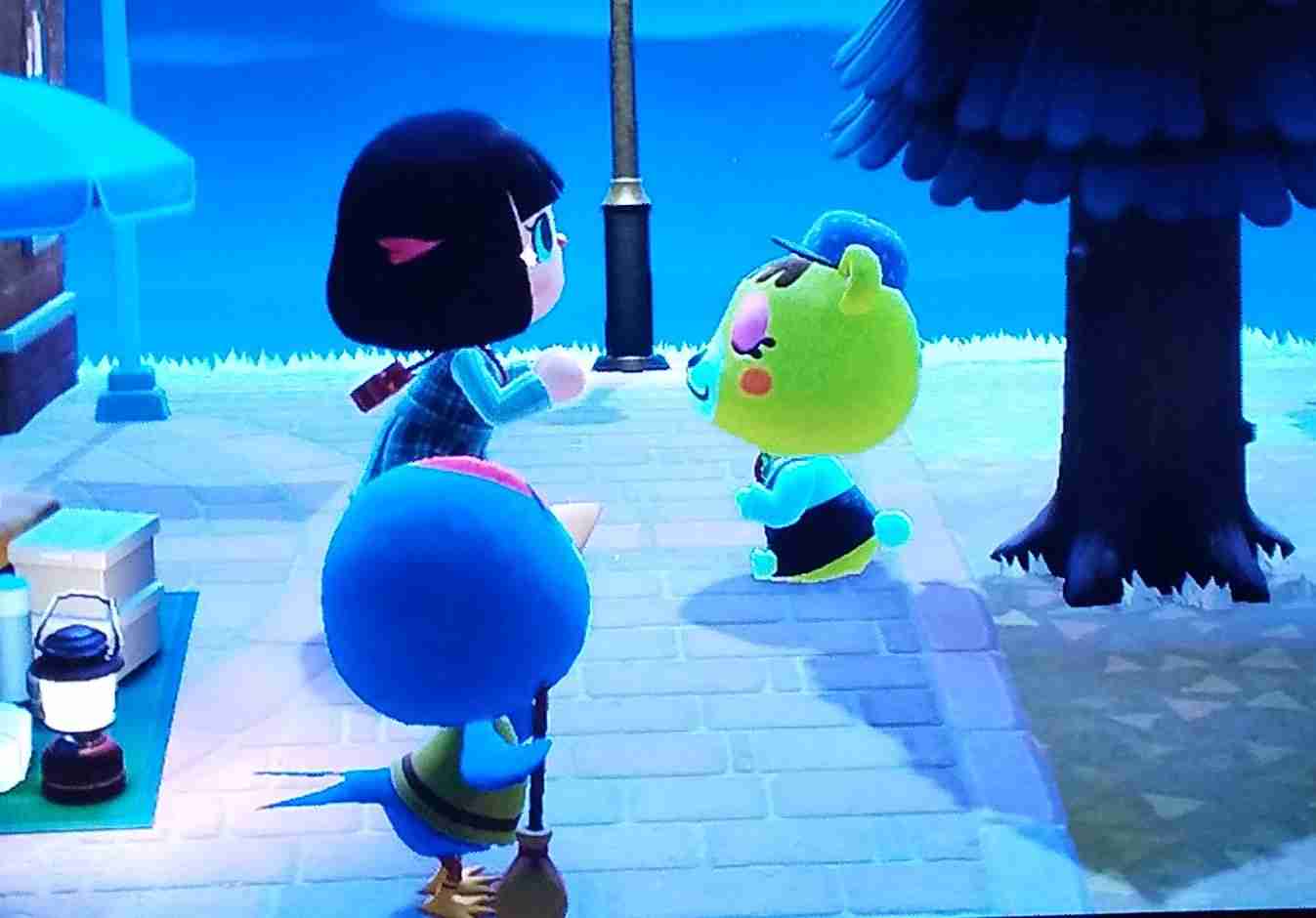 【あつ森】あつまれどうぶつの森 写真トピ part3