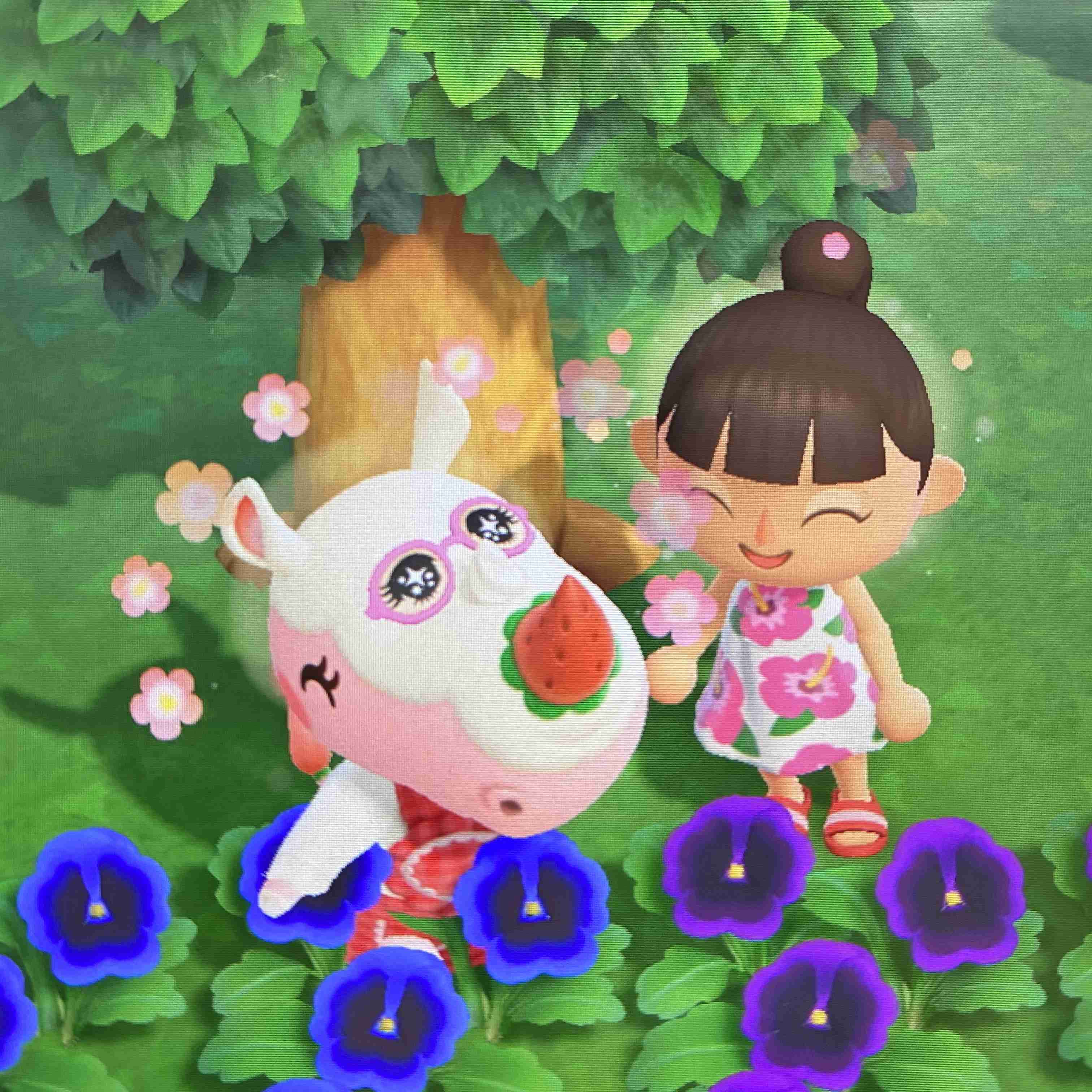 【あつ森】あつまれどうぶつの森 写真トピ part3
