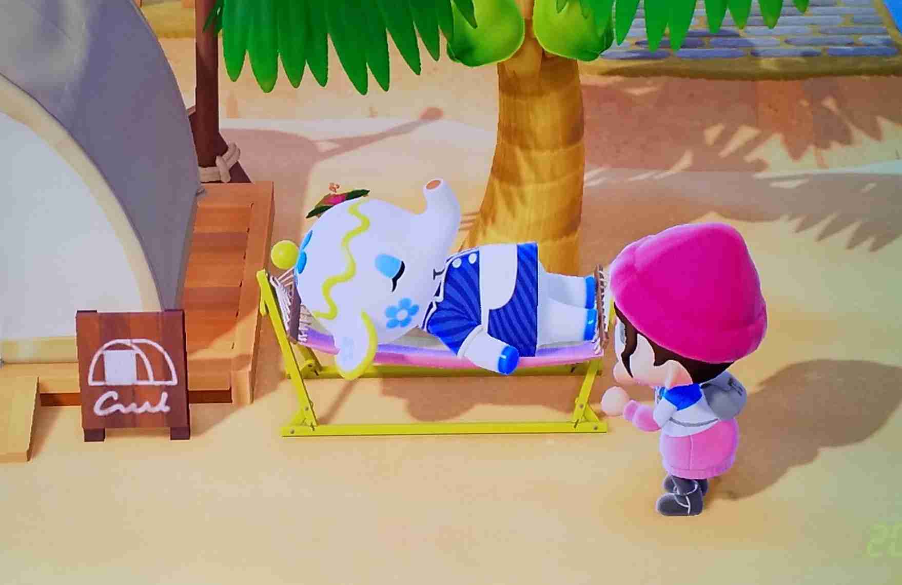 【あつ森】あつまれどうぶつの森 写真トピ part3