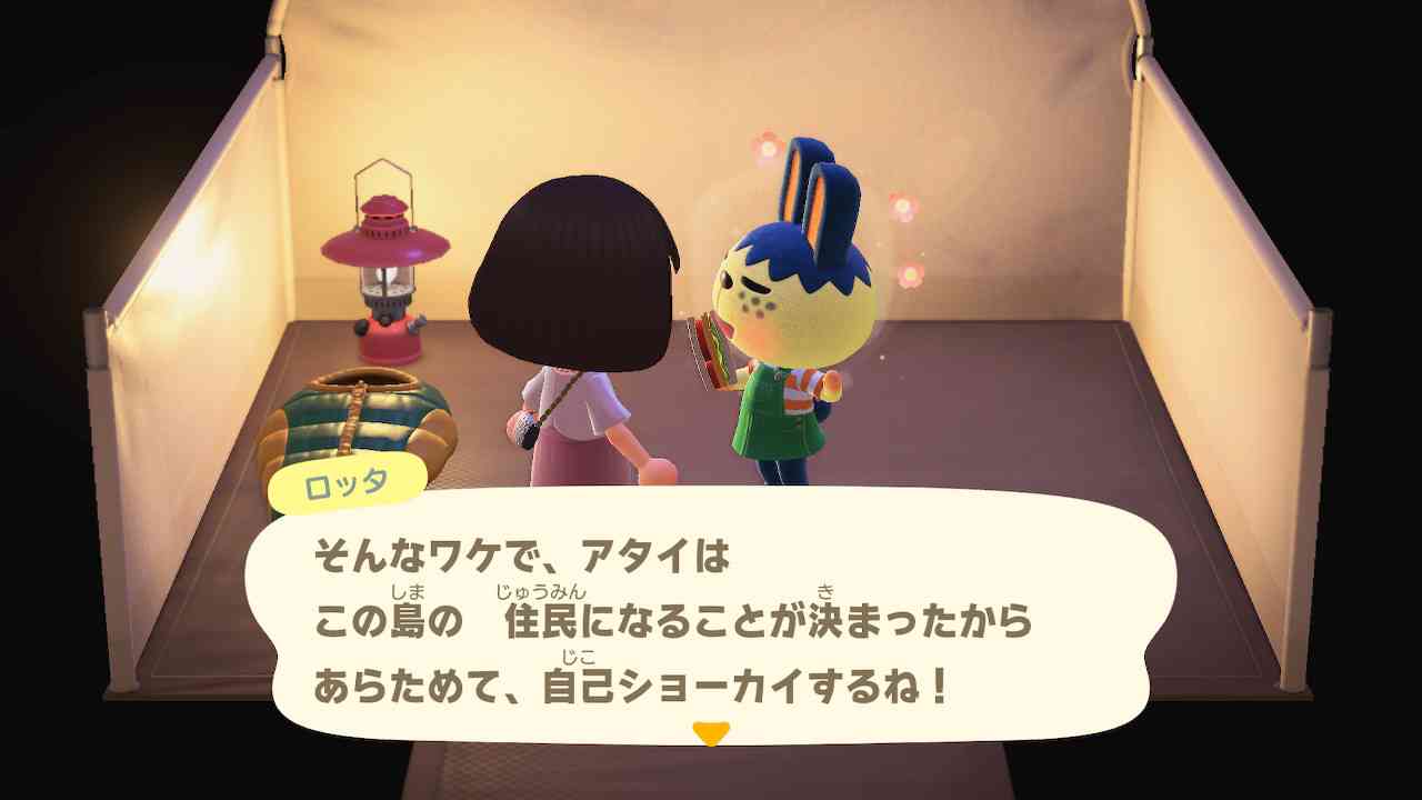 【あつ森】あつまれどうぶつの森 写真トピ part3