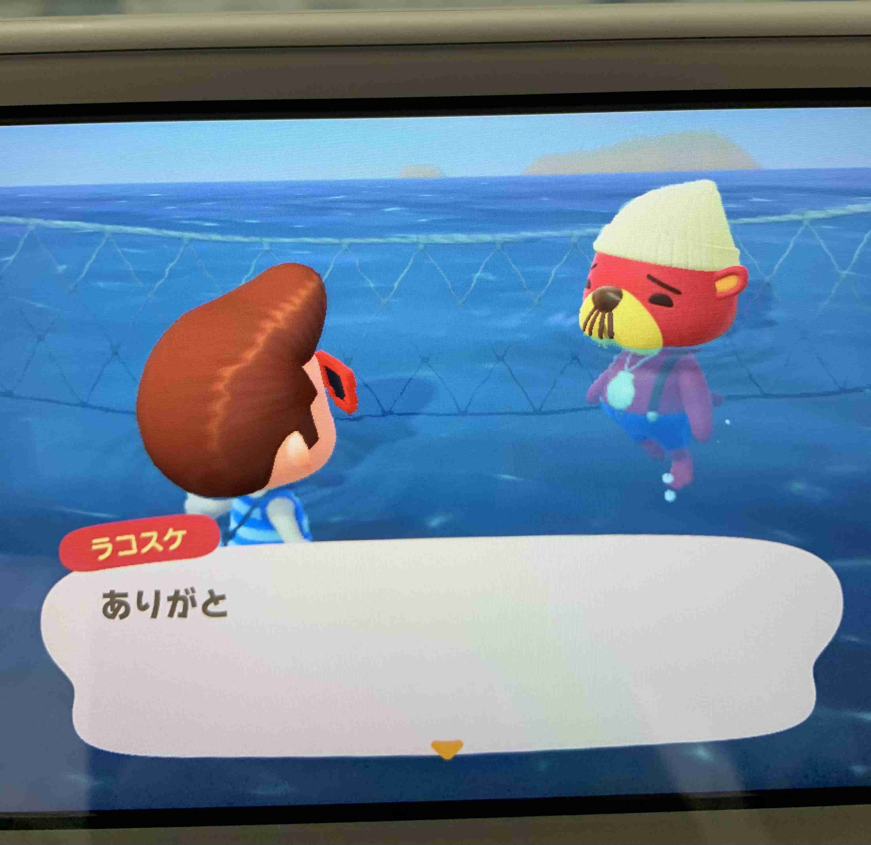 【あつ森】あつまれどうぶつの森 写真トピ part3
