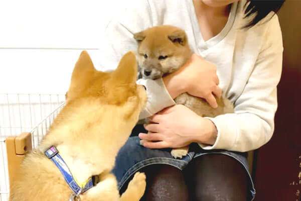 自分がした良い行いを書いて皆でほっこりするトピpart3